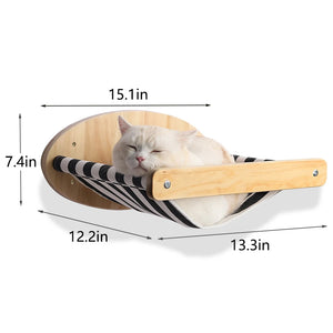 Cat Climbing Shelf Wall