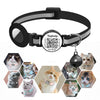 🐾 AirTag Collar for Cats & Small Dogs — Breakaway & QR Code ID