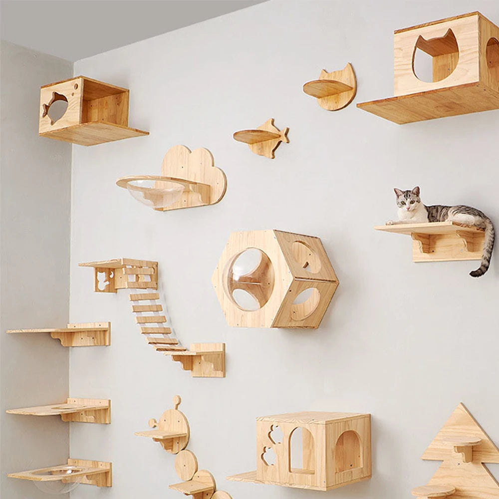 Cat Climbing Shelf Wall