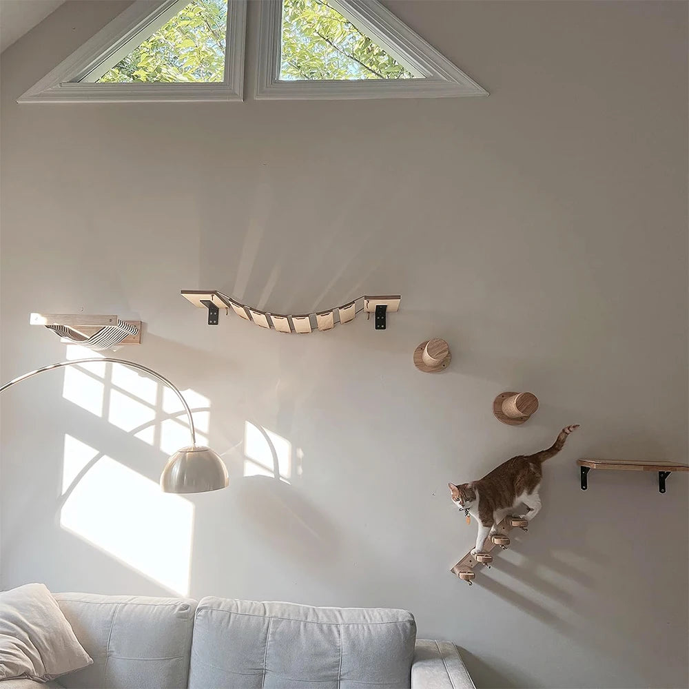 Cat Climbing Shelf Wall
