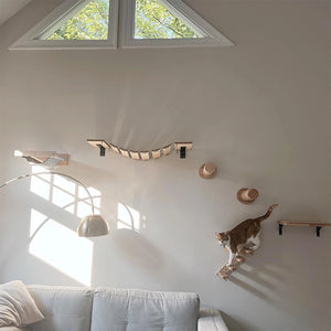 Cat Climbing Shelf Wall
