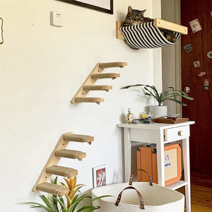 Cat Climbing Shelf Wall