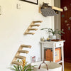 Cat Climbing Shelf Wall