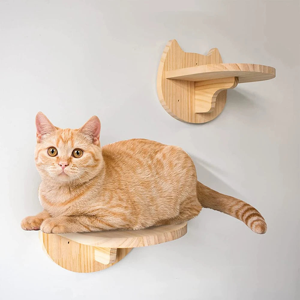 Cat Climbing Shelf Wall