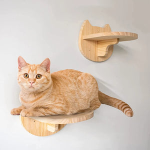 Cat Climbing Shelf Wall