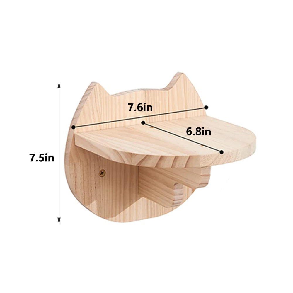 Cat Climbing Shelf Wall