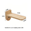 Cat Climbing Shelf Wall