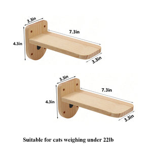 Cat Climbing Shelf Wall