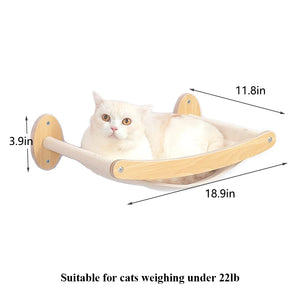 Cat Climbing Shelf Wall