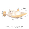Cat Climbing Shelf Wall